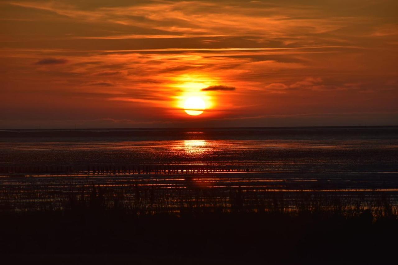 Nordseedeich Friedrichskoog-Spitz Extérieur photo